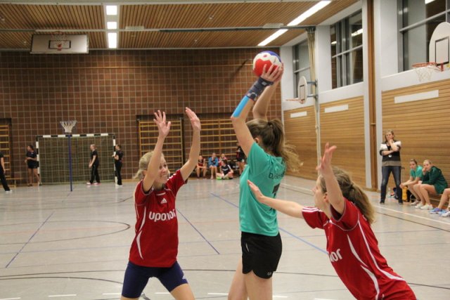 2016_01_23 Landesliga Frauen